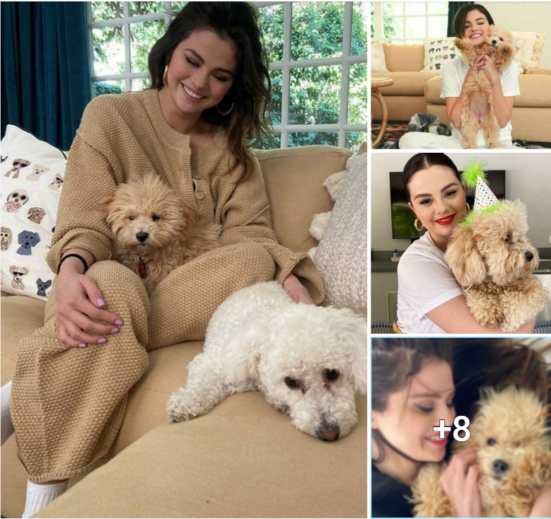 “Unleashing Joy: Selena Gomez’s Heartwarming Bond with her Furry Best Friend”